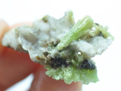 apple green PYROMORPHITE barrel prisms without matrix)  