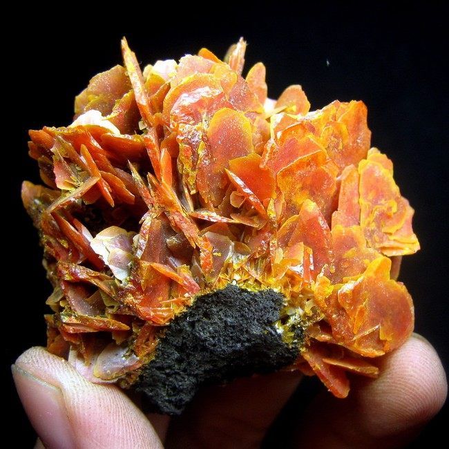 Red Wulfenite Lamellar Crystal Cluster wuxj9ie0118  