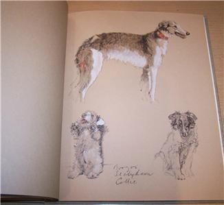 1935 JUST AMONG FRIENDS Cecil Aldin DOG ILLUSTRATIONS  