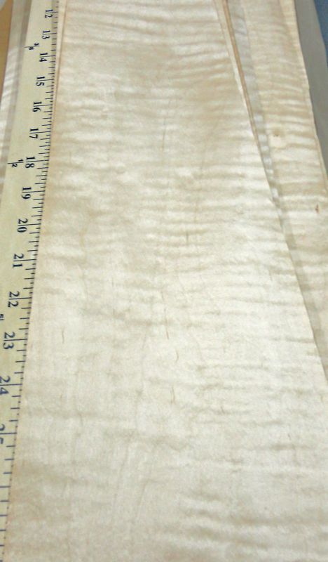 Curly Maple wood veneer 5 x 20 with no backing  