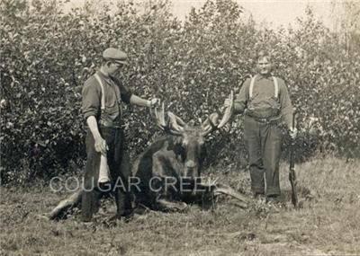   hunters with their bull moose vintage birch moose call and rifle wow