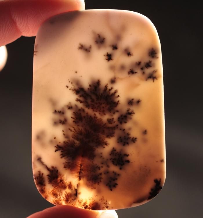 UNEQUALED LANDSCAPE DENDRITIC MOSS AGATE HUGE CABOCHON  