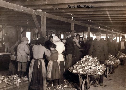 Shucking Oysters Alabama Canning Company Bayou La Batre  