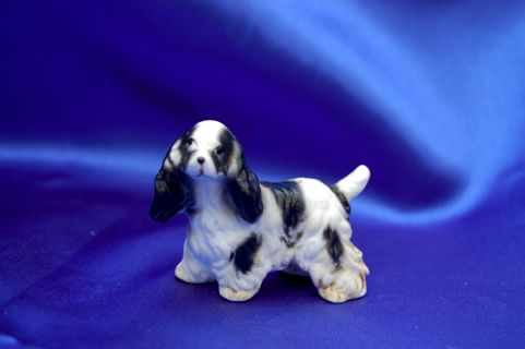  face long silky black ears quite the little doll a cocker brittany 