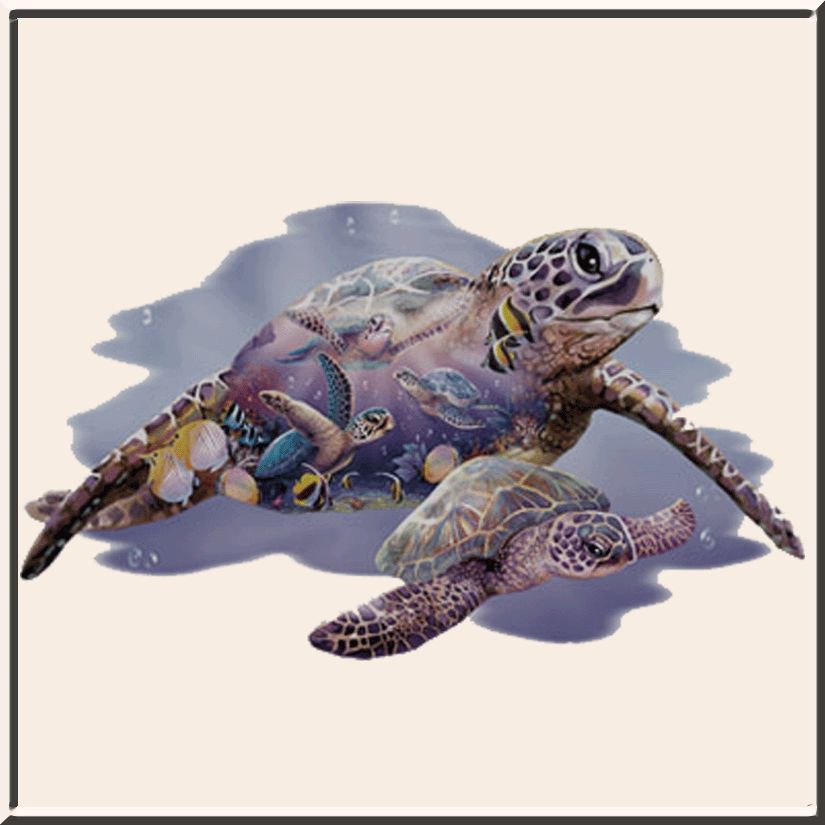 Turtle Kingdom Steve Sundram Sea Shirt S 2X,3X,4X,5X  