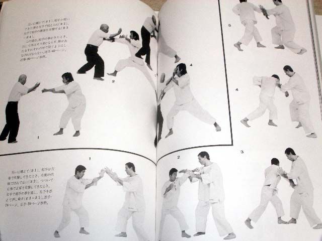 Taikikenpo Taikikempo Martial Arts Book Tai Chi Sawai m  