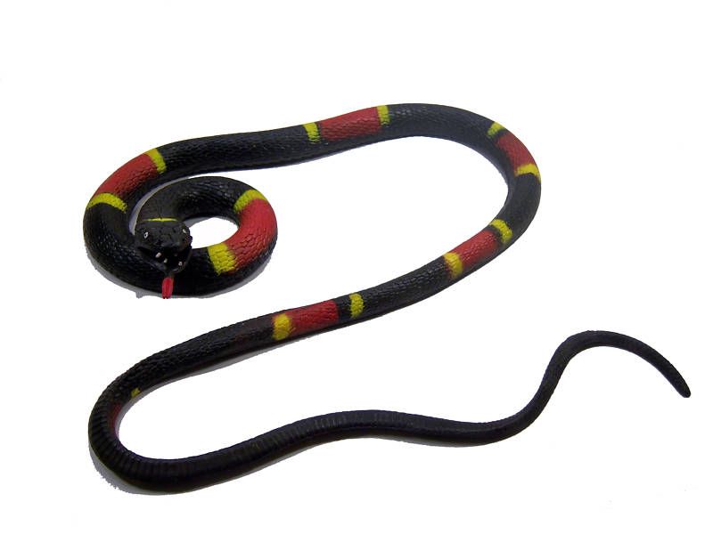 Large 6 foot Soft RUBBER CORAL SNAKE ~ Looks Real   