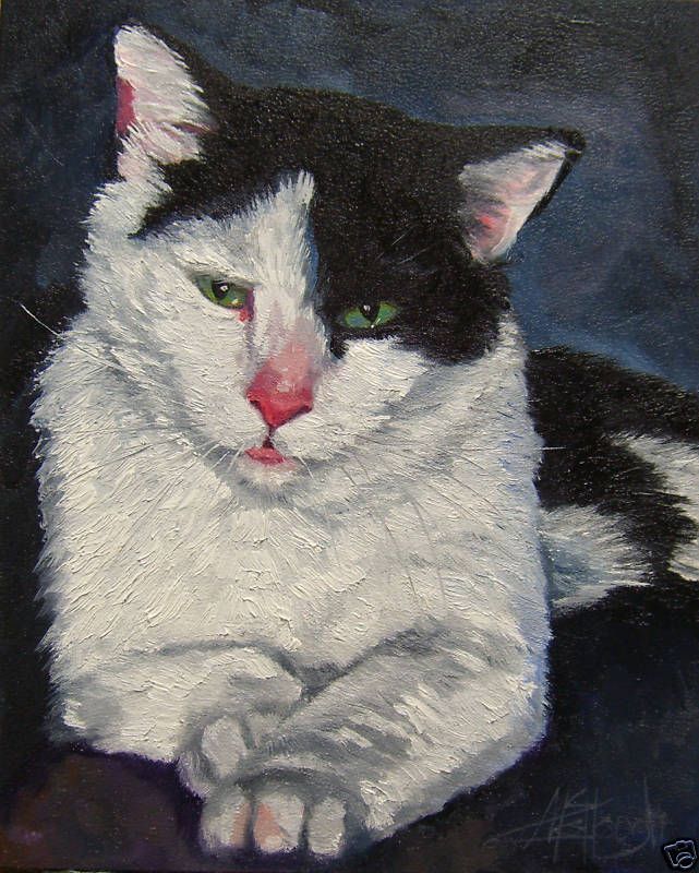 Cat Kitty Tuxedo Original Oil Painting k McCollough  