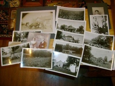 Estate Lot Old Photographs Farm Horse Hitch Rural  