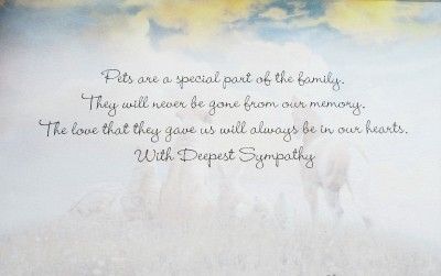 Pet Loss Sympathy Condolences Card For Any Species 676944562746  