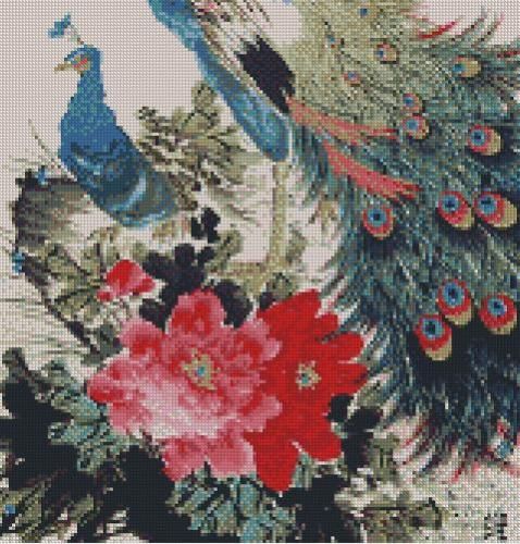 Cross Stitch chart Pattern Peacock Birds DMC threads  