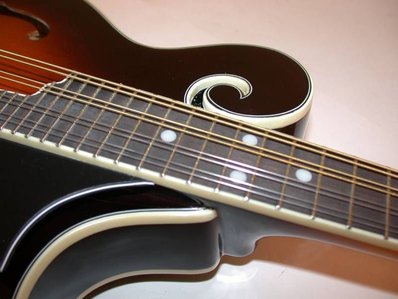 see our complete selection of galveston guitars banjos and mandolins