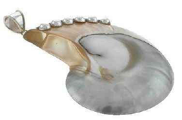 Artisan Nautilus Shell Pendant Sterling Silver Overlay  