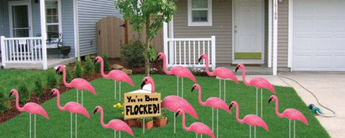 Pink Flamingo Youve Been Flocked Set W/wire stakes  