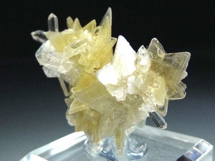 Yellow Star Muscovite Crystal Cluster with Gem Clear Quartz #7  